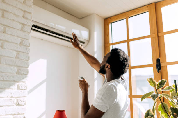 Best HVAC air duct cleaning  in De Soto, IL